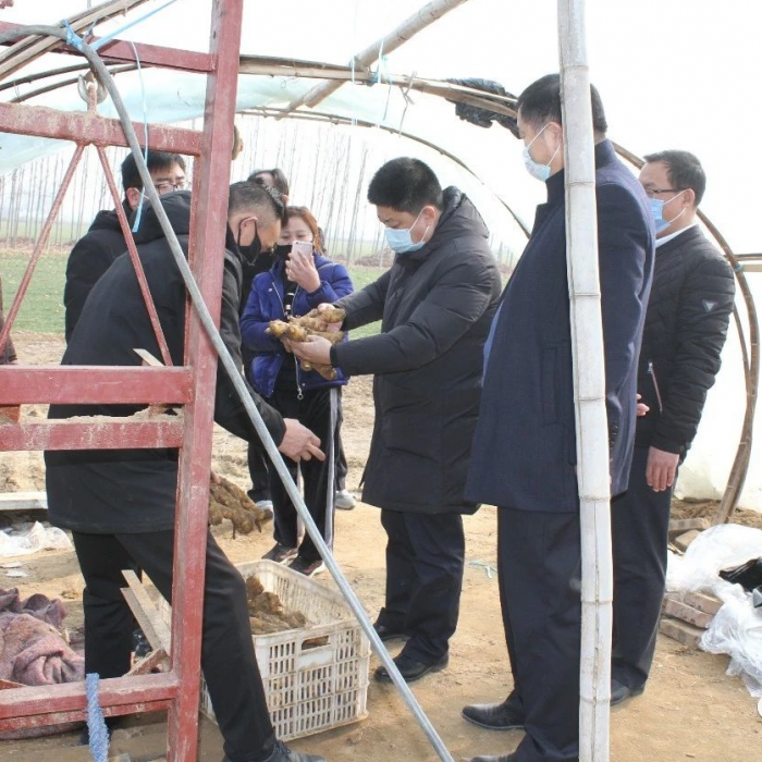 縣委常委、副縣長王洪正帶隊督導檢查全縣蔬菜生產(chǎn)保障供給工作