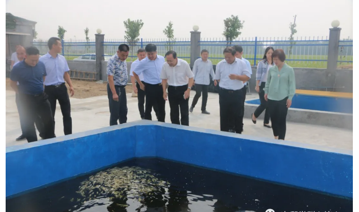 省國資委黨委委員、副主任，機關(guān)黨委書記尹剛到次邱鎮(zhèn)調(diào)研指導省派鄉(xiāng)村振興服務(wù)隊工作